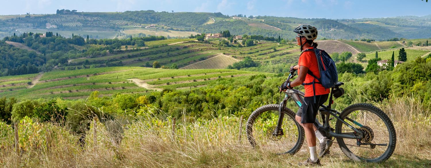 Cyclist admires lush, green hilly landscape.